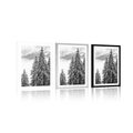 POSTER WITH MOUNT SNOWY PINE TREES IN BLACK AND WHITE - BLACK AND WHITE - POSTERS