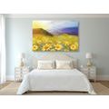 CANVAS PRINT FIELD FULL OF DAISIES - PICTURES OF NATURE AND LANDSCAPE - PICTURES