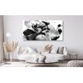 CANVAS PRINT MAGICAL INTERPLAY OF STONES AND ORCHIDS IN BLACK AND WHITE - BLACK AND WHITE PICTURES - PICTURES