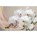 WALLPAPER WHITE ORCHID ON A CANVAS - WALLPAPERS FLOWERS - WALLPAPERS