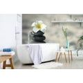 WALL MURAL HARMONIOUS STONES AND A PLUMERIA - WALLPAPERS FENG SHUI - WALLPAPERS