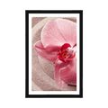 POSTER MIT PASSEPARTOUT MEERESSAND UND ROSA ORCHIDEE - BLUMEN - POSTER