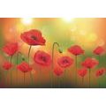 WALLPAPER POPPIES ON A SUNNY MEADOW - WALLPAPERS FLOWERS - WALLPAPERS