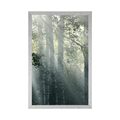 POSTER SUN RAYS IN A FOGGY FOREST - NATURE - POSTERS