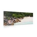 CANVAS PRINT COAST OF SEYCHELLES - PICTURES OF NATURE AND LANDSCAPE - PICTURES