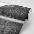 WALL MURAL BLACK AND WHITE LAKE SURROUNDED BY NATURE - BLACK AND WHITE WALLPAPERS - WALLPAPERS