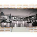 CANVAS PRINT A DAZZLING PANORAMA OF PARIS IN BLACK AND WHITE - BLACK AND WHITE PICTURES - PICTURES