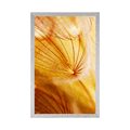 POSTER DANDELION IN BEATIFUL DESIGN - FLOWERS - POSTERS