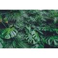 SELF ADHESIVE WALL MURAL JUNGLE LEAVES - SELF-ADHESIVE WALLPAPERS - WALLPAPERS