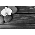 WALL MURAL BLACK AND WHITE STONES ON WOOD - BLACK AND WHITE WALLPAPERS - WALLPAPERS