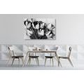 CANVAS PRINT SPRING TULIPS IN BLACK AND WHITE - BLACK AND WHITE PICTURES - PICTURES