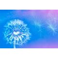 SELF ADHESIVE WALLPAPER DANDELION ON A BLUE BACKGROUND - SELF-ADHESIVE WALLPAPERS - WALLPAPERS