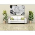 CANVAS PRINT FULL OF ROSES IN BLACK AND WHITE - BLACK AND WHITE PICTURES - PICTURES