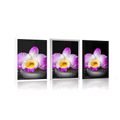 POSTER WITH MOUNT PURPLE ORCHID ON ZEN STONES - FENG SHUI - POSTERS