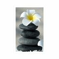 AFFICHE PIERRES HARMONIEUSES ET FLEUR DE PLUMERIA - FENG SHUI - AFFICHES