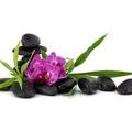 CANVAS PRINT PURPLE ORCHID IN A ZEN STILL LIFE - PICTURES FENG SHUI - PICTURES