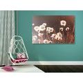 CANVAS PRINT COTTON GRASS - PICTURES OF NATURE AND LANDSCAPE - PICTURES