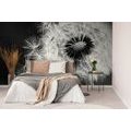 WALL MURAL BLACK AND WHITE DETAIL OF A DANDELION - BLACK AND WHITE WALLPAPERS - WALLPAPERS