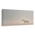 OBRAZ KLIDNÝ KŮŇ NA PÍSKU - OBRAZY KONĚ - OBRAZY