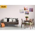 CANVAS PRINT SET CHARMING GENTLE NATURE - SET OF PICTURES - PICTURES