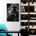 WANDBILD TIERISCHER GANGSTER SCHIMPANSE - BILDER - 🔥 TOTALAUSVERKAUF