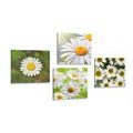 CANVAS PRINT SET MAGICAL FLOWERS - SET OF PICTURES - PICTURES