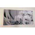 5-PIECE CANVAS PRINT ORCHID ON A CANVAS IN BLACK AND WHITE - BLACK AND WHITE PICTURES - PICTURES