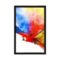 POSTER FLUG EINES PAPAGEIS - TIERE - POSTER