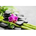 SELF ADHESIVE WALL MURAL STILL LIFE WITH A PURPLE ORCHID - SELF-ADHESIVE WALLPAPERS - WALLPAPERS