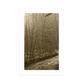 POSTER MIT PASSEPARTOUT WEG IN DEN WALD IN SEPIA - NATUR - POSTER