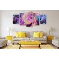 5-PIECE CANVAS PRINT COLOR SPIRAL - ABSTRACT PICTURES - PICTURES