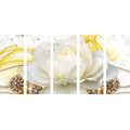 5-PIECE CANVAS PRINT LUXURY ROSE WITH AN ABSTRACTION - ABSTRACT PICTURES - PICTURES