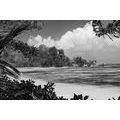 CANVAS PRINT BEAUTIFUL BEACH ON THE ISLAND OF LA DIGUE IN BLACK AND WHITE - BLACK AND WHITE PICTURES - PICTURES