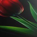 TABLEAU SUR TOILE – ÉLÉGANCE DES TULIPES ROUGES - TABLEAUX - 🔥 VENTE TOTALE