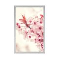 POSTER PINK CHERRY BLOSSOMS - FLOWERS - POSTERS