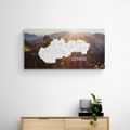 QUADRO IN SUGHERO – MAPPA DELLA SLOVACCHIA CON MONTAGNE PITTORESCHE - QUADRI SU SUGHERO - STAMPE E QUADRI