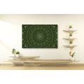 CANVAS PRINT DETAILED DECORATIVE MANDALA IN GREEN COLOR - PICTURES FENG SHUI - PICTURES