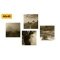 CANVAS PRINT SET MYSTERIOUS NATURE IN SEPIA DESIGN - SET OF PICTURES - PICTURES