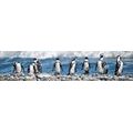 SELBSTKLEBENDE FOTOTAPETE FÜR DIE KÜCHE PINGUINE - TAPETEN FÜR DIE KÜCHENRÜCKWAND - TAPETEN