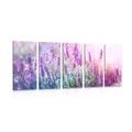 5-PIECE CANVAS PRINT MAGICAL LAVENDER FLOWERS - PICTURES FLOWERS - PICTURES