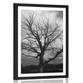 POSTER WITH MOUNT BLACK AND WHITE TREE ON THE MEADOW - BLACK AND WHITE - POSTERS