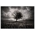 WANDBILD LEBENSBAUM IM STURM - HALLOWEEN- UND HORROR-BILDER - BILDER