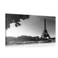 CANVAS PRINT AUTUMN PARIS IN BLACK AND WHITE - BLACK AND WHITE PICTURES - PICTURES