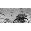 CANVAS PRINT HEART ON AN OLD WOOD IN BLACK AND WHITE - BLACK AND WHITE PICTURES - PICTURES