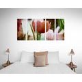 5-PIECE CANVAS PRINT MEADOW OF TULIPS IN RETRO STYLE - PICTURES FLOWERS{% if product.category.pathNames[0] != product.category.name %} - PICTURES{% endif %}
