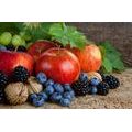 WALL MURAL AUTUMN HARVEST - WALLPAPERS FOOD AND DRINKS - WALLPAPERS