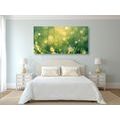 CANVAS PRINT MORNING DEW - PICTURES OF NATURE AND LANDSCAPE - PICTURES