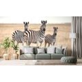 WALL MURAL THREE ZEBRAS IN THE SAVANNAH - WALLPAPERS ANIMALS - WALLPAPERS