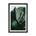 POSTER WITH MOUNT MONSTERA LEAF - FLOWERS - POSTERS