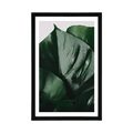 POSTER MIT PASSEPARTOUT BLATT DER MONSTERA - BLUMEN - POSTER